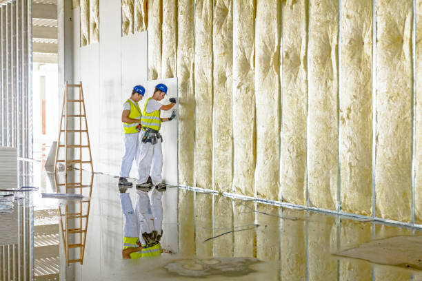 Best Basement Insulation  in Brookdale, NJ